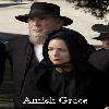艾米什·格里斯 Amish.Grace.2010.DVDRiP