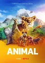 2021自然纪录片《动物本色 第一季》全4集.官方中字[HD1080P]