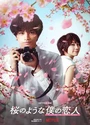 2022日本爱情《我的樱花恋人》日语中字[HD1080P]