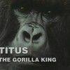 《BBC.自然世界.提图斯:大猩猩王》(BBC.Natural.World.2008.Titus.The.Gorilla.King)[720P]