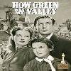 《青山翠谷》(How Green Was My Valley)原创/六区修复版[DVDRip]
