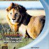 《非洲：塞伦盖蒂国家公园（IMAX）》(Africa: The Serengeti (IMAX))思路/1080P/国英双语[Blu-ray]