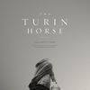 《都灵之马》 (A Torinói ló)(aka.The Turin Horse)2011.DVDRip.AC3.x264-MandR