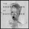 《大卫-林奇短片集》(The Short Films of David Lynch)[DVDRip]