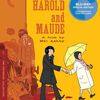 《哈洛与慕德》(Harold and Maude) (CRiTERiON.iNT.BDRip.720p.AC3.X264-TLF)