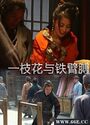 一枝花与铁臂膊Yi Zhi Huan Yu Tie Bi Bo 2013.720p.WEB-DL