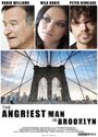 布鲁克林最愤怒的人 The.Angriest.Man.in.Brooklyn.(2014).BD.MiniSD-TLF