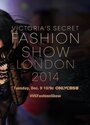 维多利亚秘密时的尚内衣秀 The.Victorias.Secret.Fashion.Show.2014.720p.HDTV