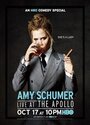 艾米·舒默：阿波罗剧院脱口秀 Amy.Schumer.Live.At.The.Apollo.2015.DVDRip